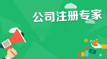 商務(wù)代理代辦服務(wù) 企業(yè)效率提升與專業(yè)支持的核心