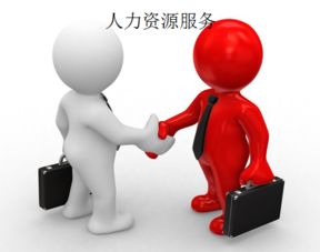 上海人力資源服務許可證辦理全攻略 手把手教你搞定人力資源服務資質